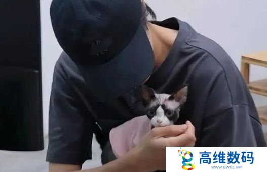演员成果公司发道歉声明，目前已接管其微博，因控诉好友恋情引热议